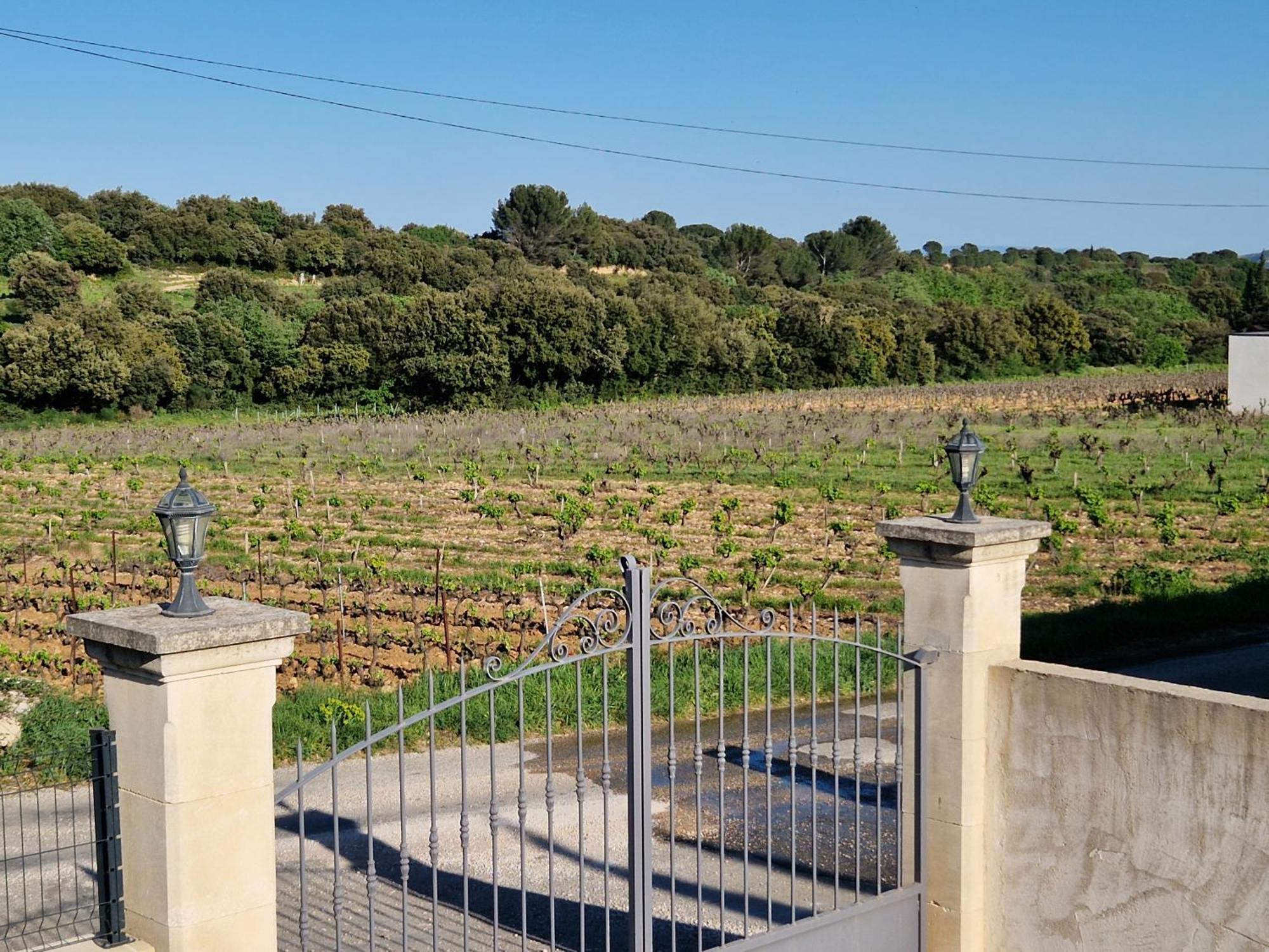 Le Cabanon De Lea Apartment Tavel Exterior photo